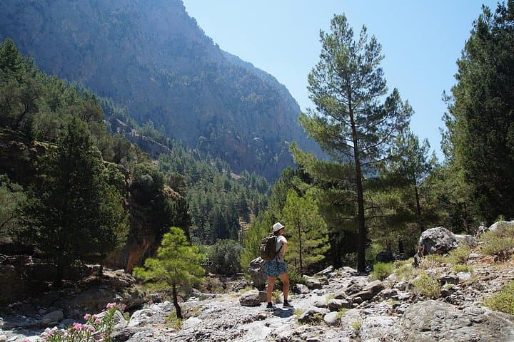 Wild Swimming and Gorge Hikes in West Crete — Half-Day Guided Adventure photo 6