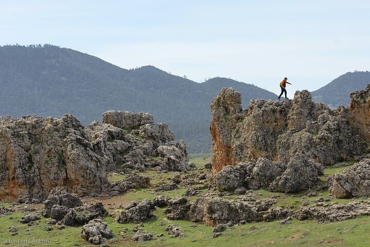 Day Trip to Morocco's Middle Atlas: Ifrane, Cedre Forest & Berber Villages photo 3