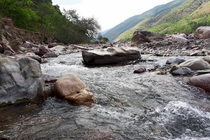 Cloud Forest Hiking in San Lorenzo: A Yungas Morning Near Salta photo 5