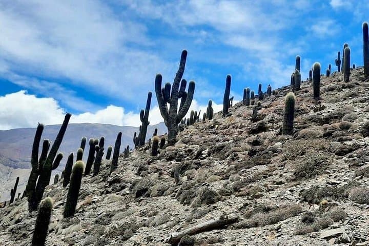 Hike to Incahuasi: Full-Day Trek from Salta to Inca Ruins photo 1