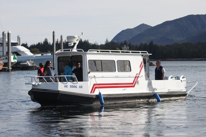 Ketchikan Black Bear Viewing: Expedition Boat Tour to Margaret Creek photo 3
