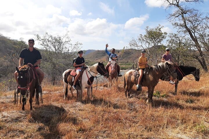 Sunset Horseback Riding on Guanacaste Beaches — Playa Flamingo Tours photo 6
