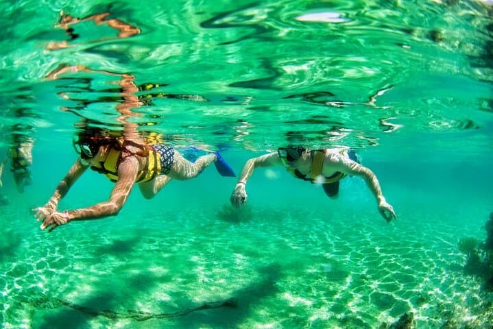 Speedboat Through Nichupté Mangroves, Snorkel Nizuc Reef & Jet Ski in Cancun photo 5