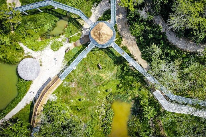 Canopy Walkway & Ethical Encounters at Phuket Elephant Sanctuary photo 5