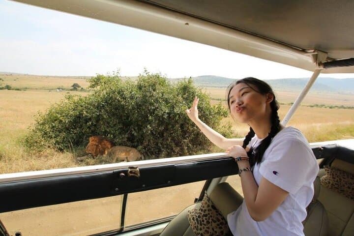 Inside Nairobi National Park: A Half-Day Game Drive Experience on the City’s Wild Edge photo 5
