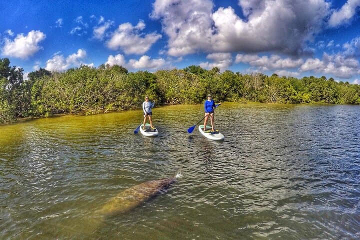 Paddle Boarding Eco Adventure at John D. MacArthur State Park, Singer Island photo 6
