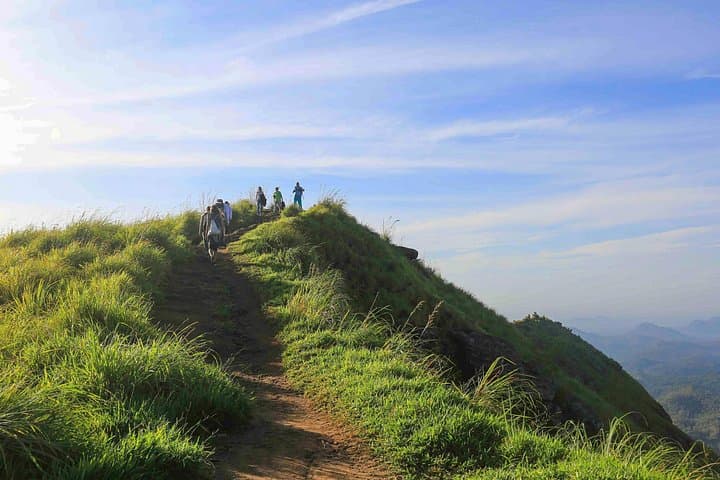 Ella Rock Hike: 3-Hour Guided Trek for Sunrise Views over Sri Lanka's Hill Country photo 4