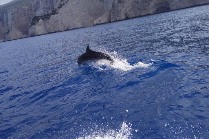 Zakynthos Shipwreck & Blue Caves: Full-Day Boat Tour from Zakynthos Town photo 6