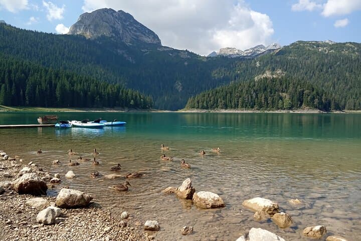 Durmitor National Park Private Tour: Black Lake, Katuns & Piva Canyon photo 2