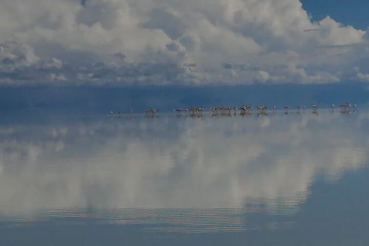 Uyuni Salt Flats Day Tour — Mirror Effect, Incahuasi & Sunset photo 3