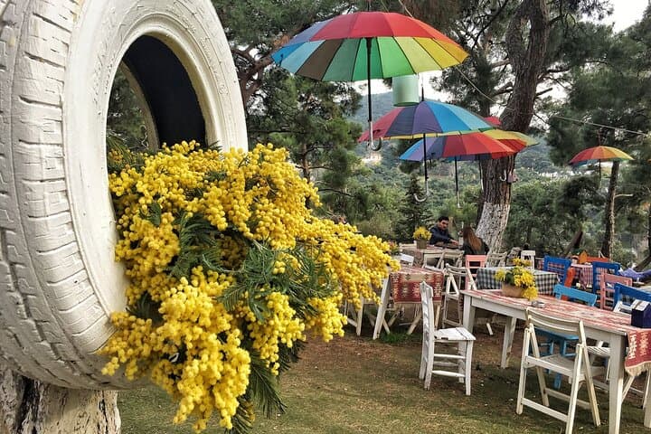 Buyukada Walking Tour and Princes' Islands Cruise from Istanbul photo 2