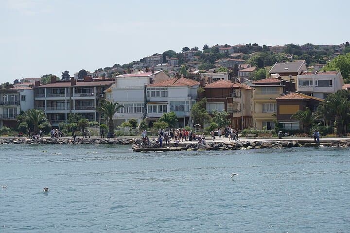 Buyukada Walking Tour and Princes' Islands Cruise from Istanbul photo 3