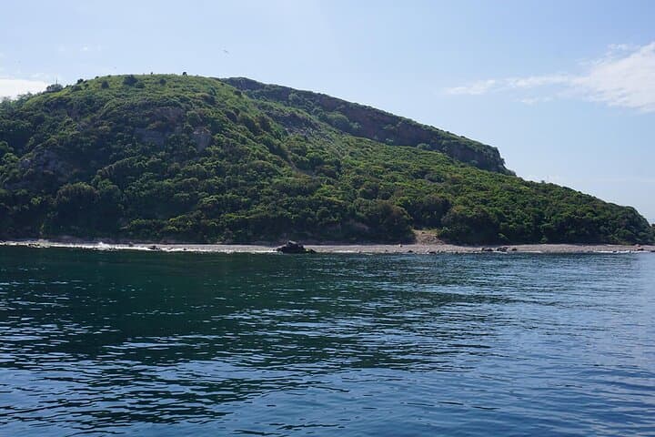 Buyukada Walking Tour and Princes' Islands Cruise from Istanbul photo 5
