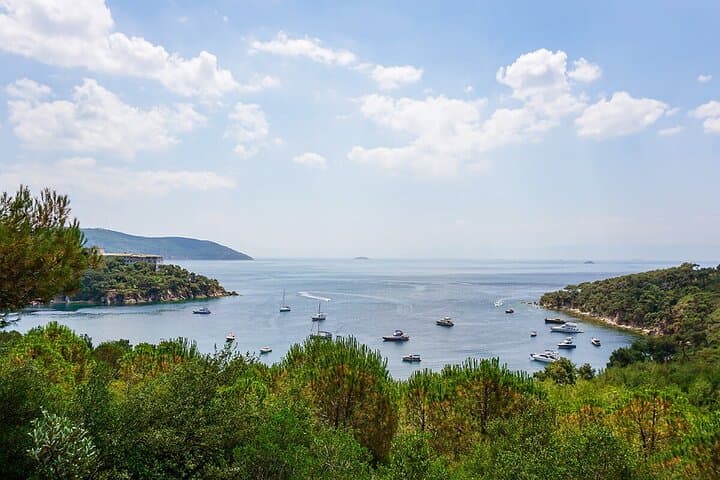 Buyukada Walking Tour and Princes' Islands Cruise from Istanbul photo 6