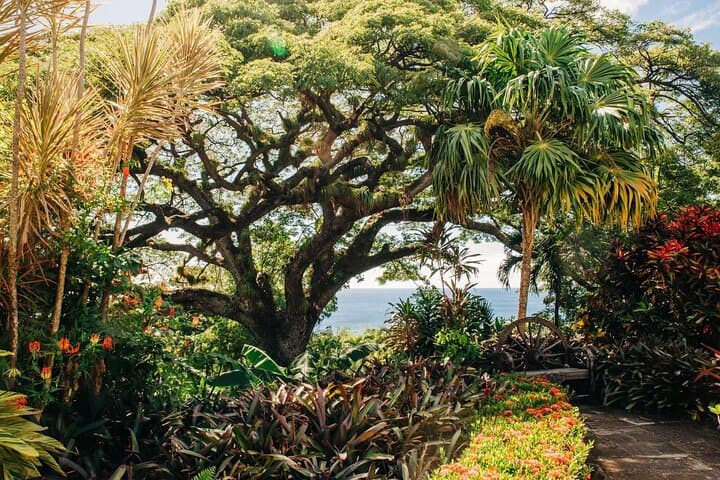 St Kitts Full-Island Excursion: Brimstone Hill, Black Rocks & Romney Manor photo 3