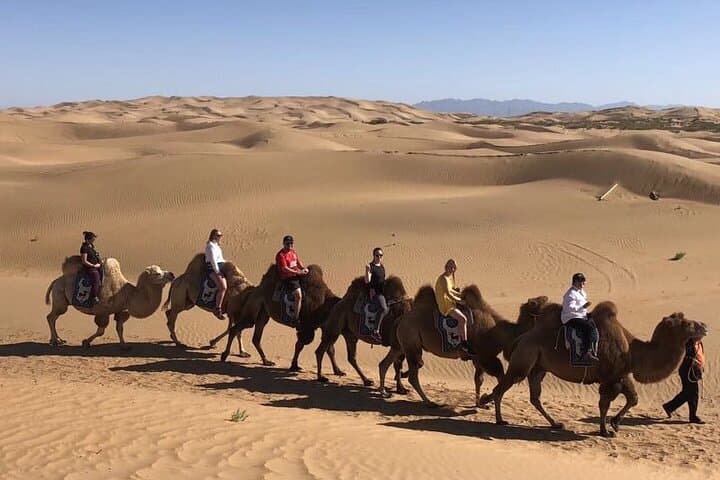 Kubuqi Desert Day Trip from Hohhot — Night Singing Sand & Camel Rides