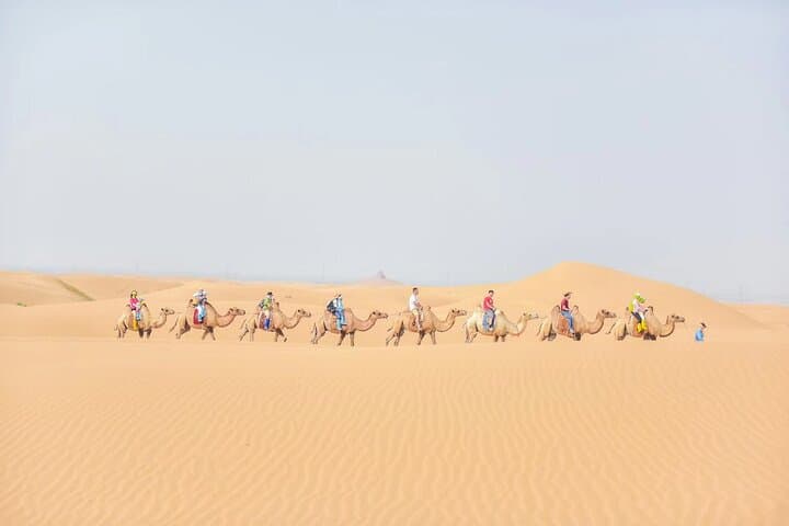 Kubuqi Desert Day Trip from Hohhot — Night Singing Sand & Camel Rides photo 5