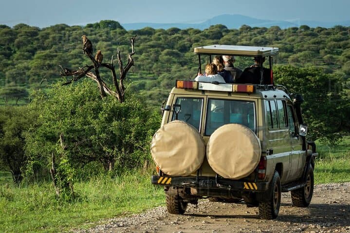 3-Day Private Safari: Tarangire & Ngorongoro with a Kilimanjaro Day Hike photo 3