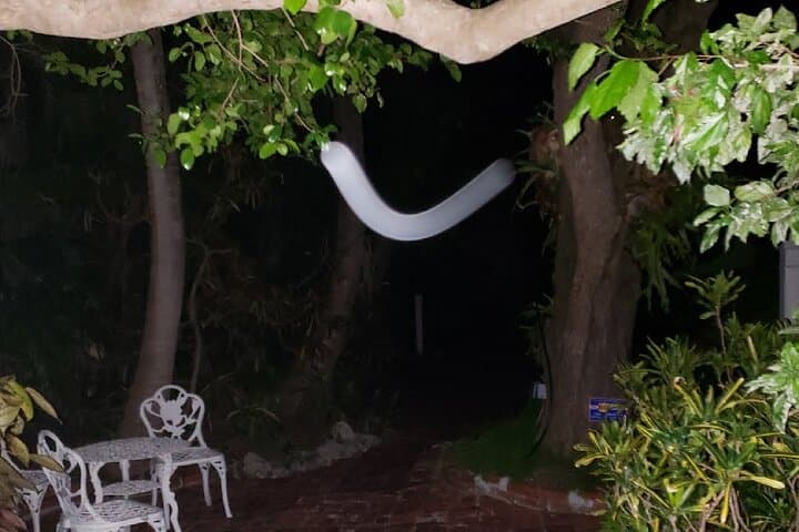 Key West Haunted History Private Walking Tour — Old Town Ghost Walk photo 3