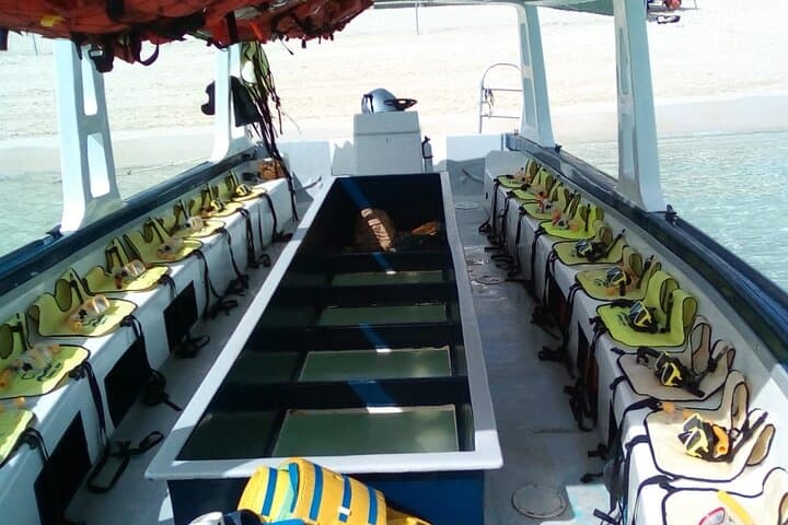 Half Day Snorkeling and Harbour Tour at Goodman's Bay, Bahamas photo 6