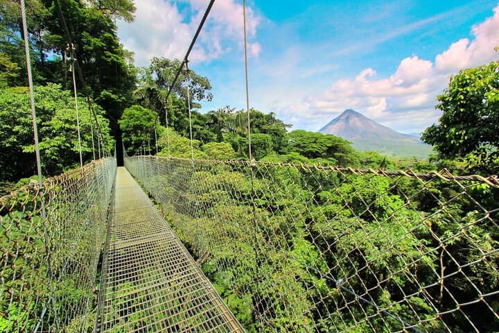 Arenal Hanging Bridges and Los Lagos Hot Springs: One-Day Adventure from San José photo 5