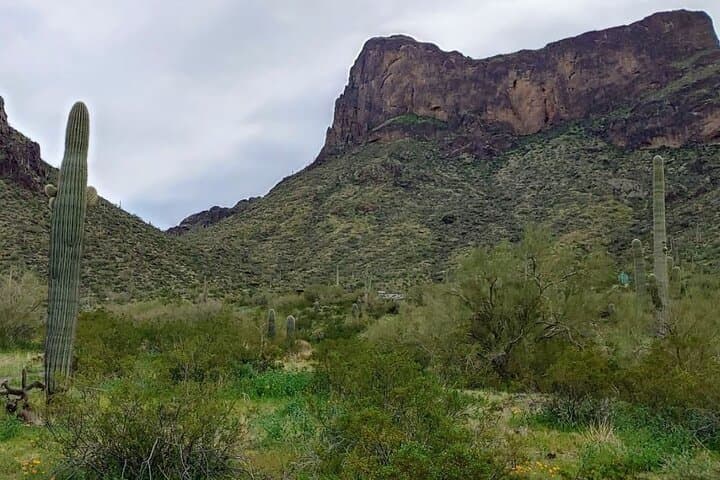Southern Arizona Full-Day Historical Tour from Phoenix — Casa Grande, Picacho Peak & Historic Missions photo 5