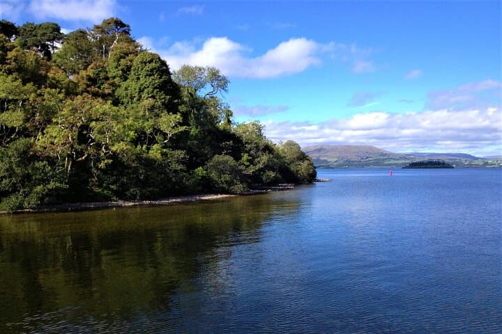 Full-Day Private Birdwatching Cruise on Lough Corrib from Oughterard photo 4