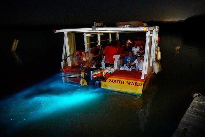 Rose Hall Great House & Luminous Lagoon Night Combo — Montego Bay Tour photo 3