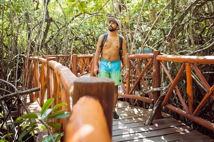 Tulum Cenotes & Beachside Ruins: Casa Tortuga Day Trip from Cancun photo 6