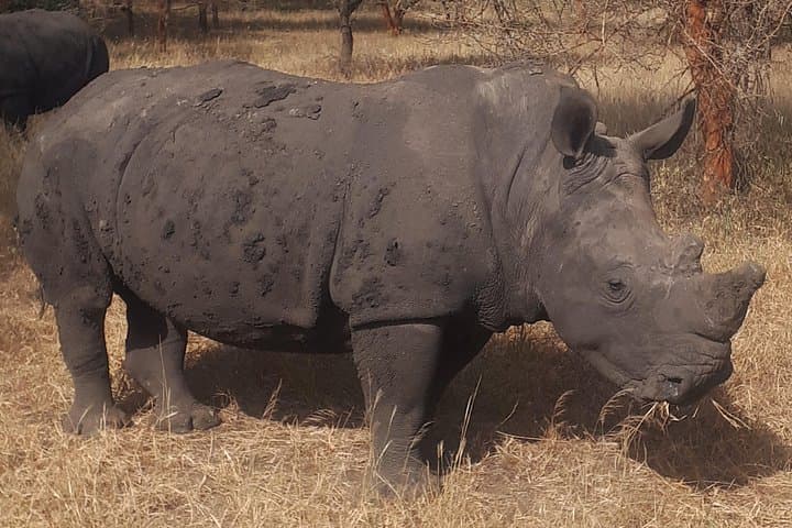 Bandia Wildlife Reserve and Pink Lake Day Tour from Dakar photo 2