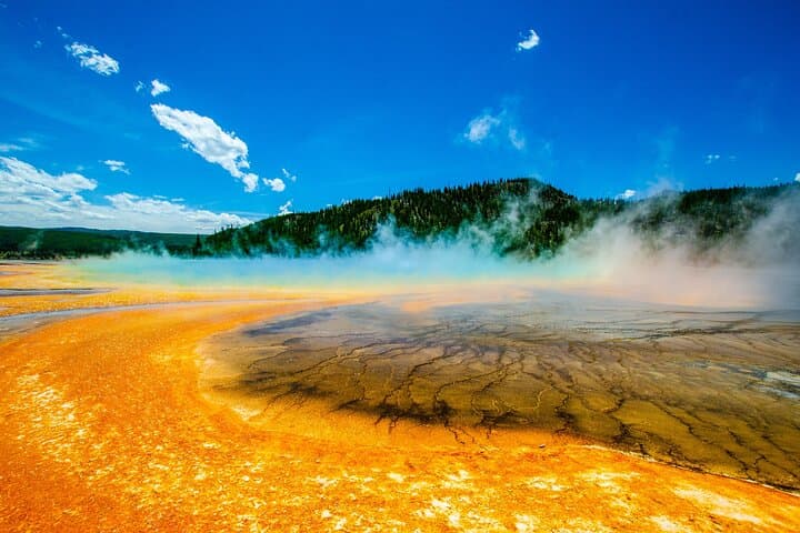 Private Small-Group Yellowstone Tour with Lunch — Lower Loop Highlights from Jackson photo 4