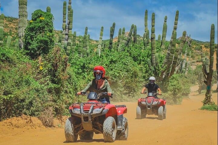 ATV Adventure from Cabo San Lucas: Desert Trails to Pacific Beaches photo 4