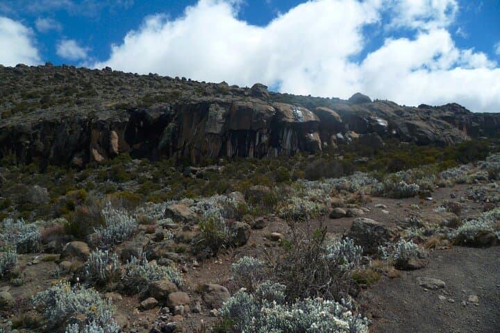 6-Day Marangu Route Kilimanjaro Hut Trek to Uhuru Peak photo 2