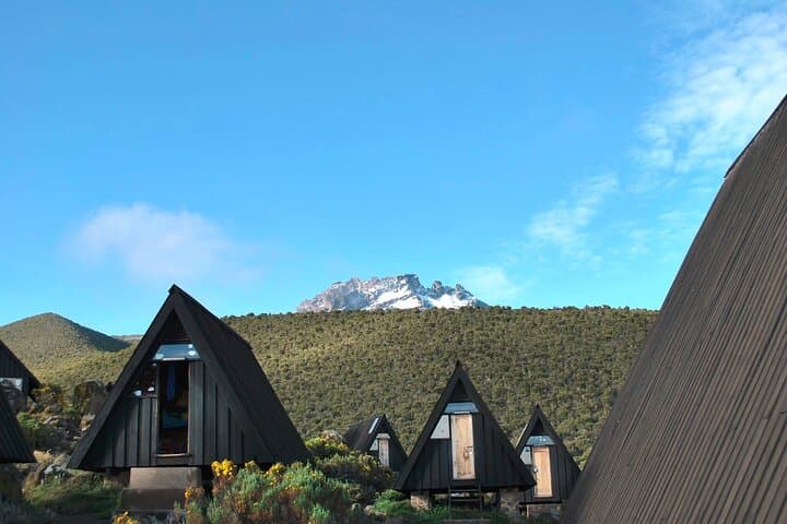 6-Day Marangu Route Kilimanjaro Hut Trek to Uhuru Peak photo 4