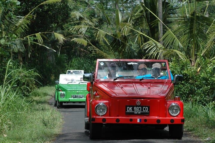 East Bali Discovery Tour by VW Safari — Tirta Gangga, Pura Kehen & Coastal Views photo 2