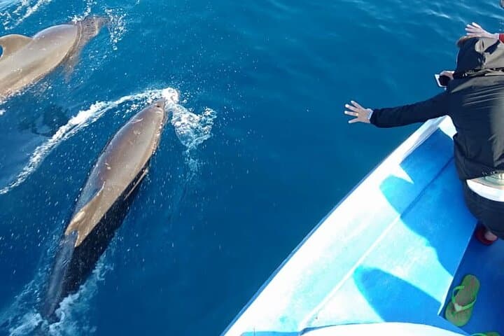 Dolphins & Coral Walls: A Day Snorkeling Around Bunaken Island photo 4