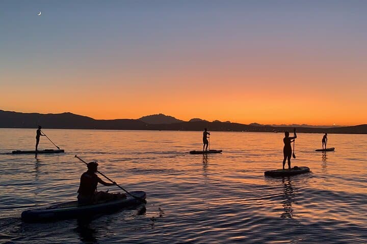 Stand-Up Paddle with Dolphins, Snorkel & Photos in Golfo Aranci photo 3
