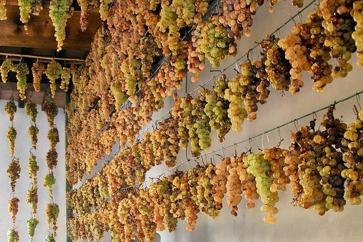 E‑Bike Wine Tour on Elba with Arrighi: Cycle Vineyards & Coastal Tastes photo 4