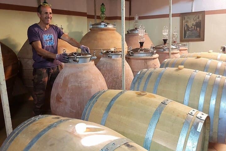 E‑Bike Wine Tour on Elba with Arrighi: Cycle Vineyards & Coastal Tastes photo 2