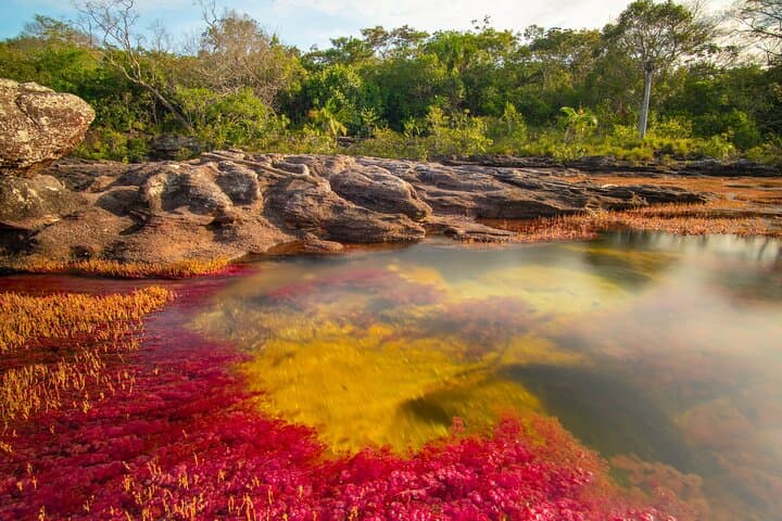 Caño Cristales Private 3-Day Trek from Bogota: Five-Color River Expedition photo 2