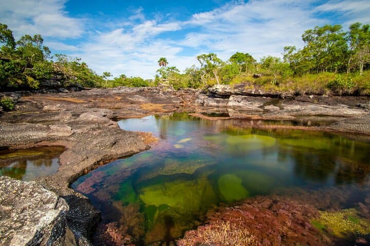 Caño Cristales Private 3-Day Trek from Bogota: Five-Color River Expedition