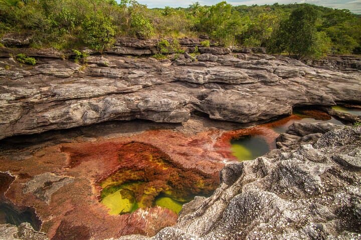 Caño Cristales Private 3-Day Trek from Bogota: Five-Color River Expedition photo 3
