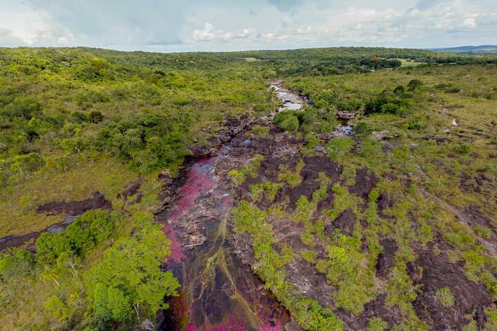 Caño Cristales Private 3-Day Trek from Bogota: Five-Color River Expedition photo 4