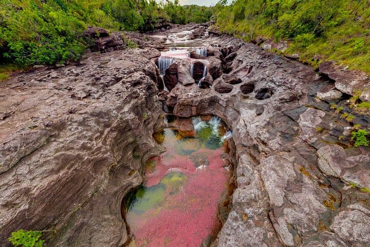 Caño Cristales Private 3-Day Trek from Bogota: Five-Color River Expedition photo 5