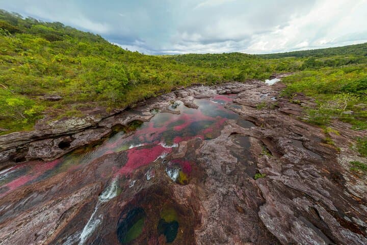 Caño Cristales Private 3-Day Trek from Bogota: Five-Color River Expedition photo 6
