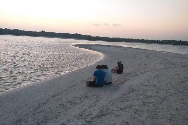 Holbox Bioluminescence Golf Cart Tour: Night Sky & Plankton at Punta Cocos photo 5