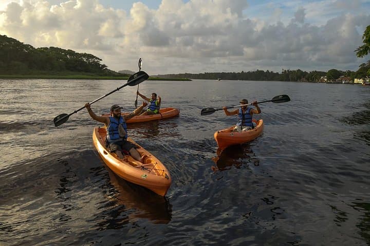 Paddle the Silent Canals: Tortuguero Kayak Tour for Wildlife Viewing photo 3