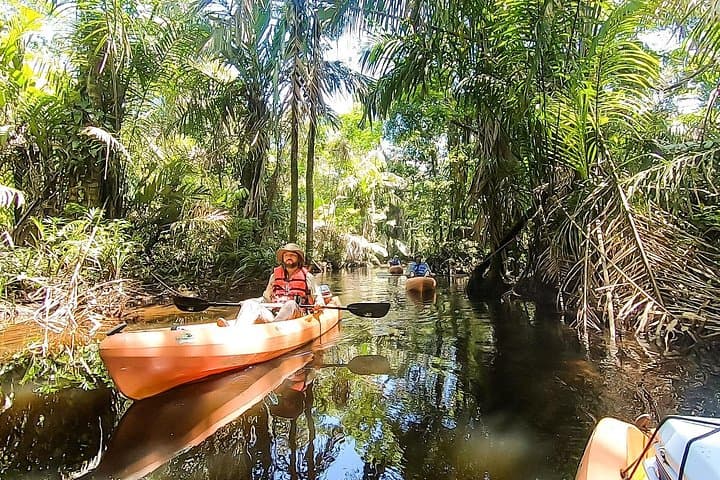 Paddle the Silent Canals: Tortuguero Kayak Tour for Wildlife Viewing photo 4