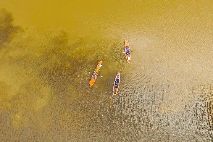 Total Tortuguero: Kayak & Canoe Canal Tours, Jaguar Trail Hike and Turtle Nesting Nightwalk photo 2
