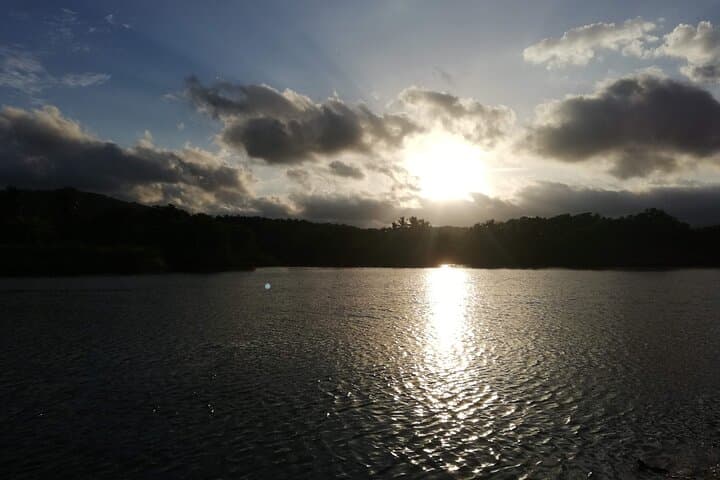 Sunset Bioluminescence Boat Tour in Paquera Bay, Costa Rica photo 3